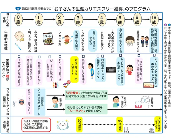 ｢お子さんの生涯カリエスフリー獲得｣のプログラム